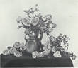 Gustav Grünerwald rose photo