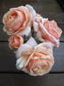 Mellow rose photo
