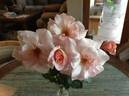 Lady M. rose photo