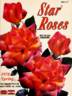 Fireside rose photo