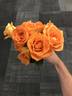 Miracle ™ rose photo