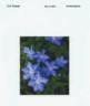 Blue Jeanne clematis photo