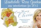 Our Honey Olivia rose photo