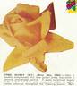 Ethel Sanday rose photo
