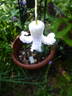 <i>C. crispa</i> L. clematis photo