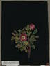Cyphian Rose rose photo