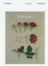 KORscamer rose photo
