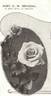 John C.M. Mensing rose photo