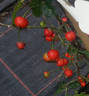 R. serafinii rose photo