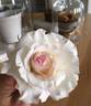 Ginger Hill rose photo