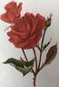 Carrousel rose photo