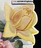 Constance, Cl. rose photo