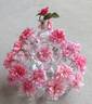 Madame Jules Thibaud rose photo