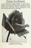 Freiherr von Marschall rose photo