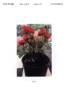 GEUS4310 rose photo