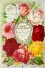 Marion Dingee rose photo