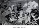 Lady Duncan rose photo
