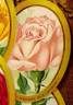 Madame Elie Lambert rose photo
