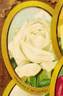 Frances E. Willard rose photo