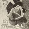 La Princesse Vera rose photo