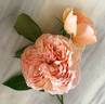 Charles de Nervaux rose photo