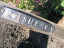 21SMFR01 rose photo