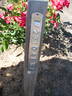 RSM new series 60 rose photo