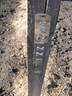 RSM B11 rose photo