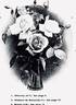Muriel rose photo