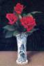 Westfield Scarlet rose photo