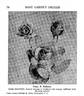 Charles P. Kilham rose photo