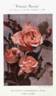 Peintre Renoir rose photo