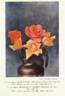 William F. Dreer (pernetiana, Howard rose photo