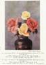 Souvenir de Georges Pernet rose photo