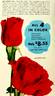 Carrousel rose photo