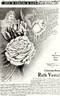 Ruth Vestal rose photo