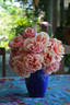 Indian Summer rose photo