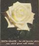 Edith Krause rose photo