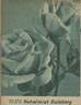 Geheimrat Duisberg rose photo