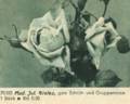 Madame Jules Grolez rose photo