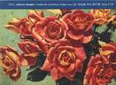 Hinrich Gaede rose photo