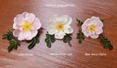 Christiane rose photo
