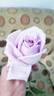 Nicole Carol Miller ™ rose photo