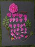 Metis rose photo
