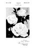 Golden State rose photo
