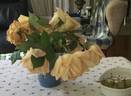 Lady Huntingfield rose photo