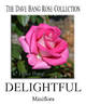 Delightful rose photo