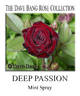 Deep Passion rose photo