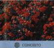Concerto rose photo