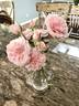 Mystic Beauty rose photo